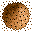 ant hill