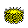Bird Nest