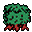 hedge
