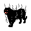 Shadow Tiger